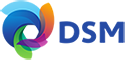 dsm logo
